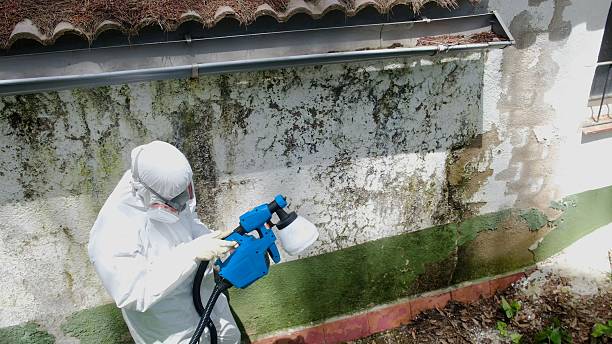 Trusted Commercial Mold Remediation service in Bryans Road, MD - Cheap Mold Removal